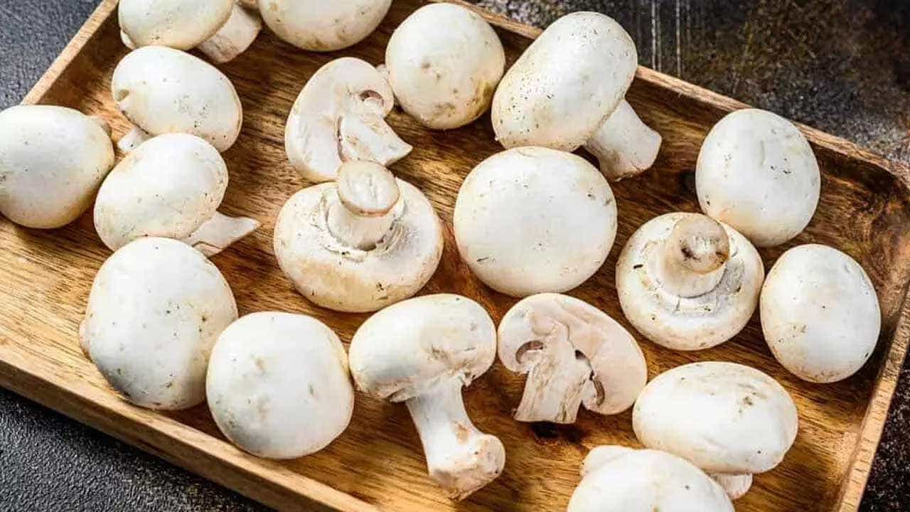 Mushroom Benefits: ರೋಗನಿರೋಧಕ ಶಕ್ತಿಯನ್ನು ಹೆಚ್ಚಿಸುವುದರಿಂದ ಹಿಡಿದು ಜೀರ್ಣಕ್ರಿಯೆವರೆಗೆ ಅಣಬೆಯ ಪ್ರಯೋಜನಗಳ ತಿಳಿಯಿರಿ Mushroom Benefits: ರೋಗನಿರೋಧಕ ಶಕ್ತಿಯನ್ನು ಹೆಚ್ಚಿಸುವುದರಿಂದ ಹಿಡಿದು ಜೀರ್ಣಕ್ರಿಯೆವರೆಗೆ ಅಣಬೆಯ ಪ್ರಯೋಜನಗಳ ತಿಳಿಯಿರಿ