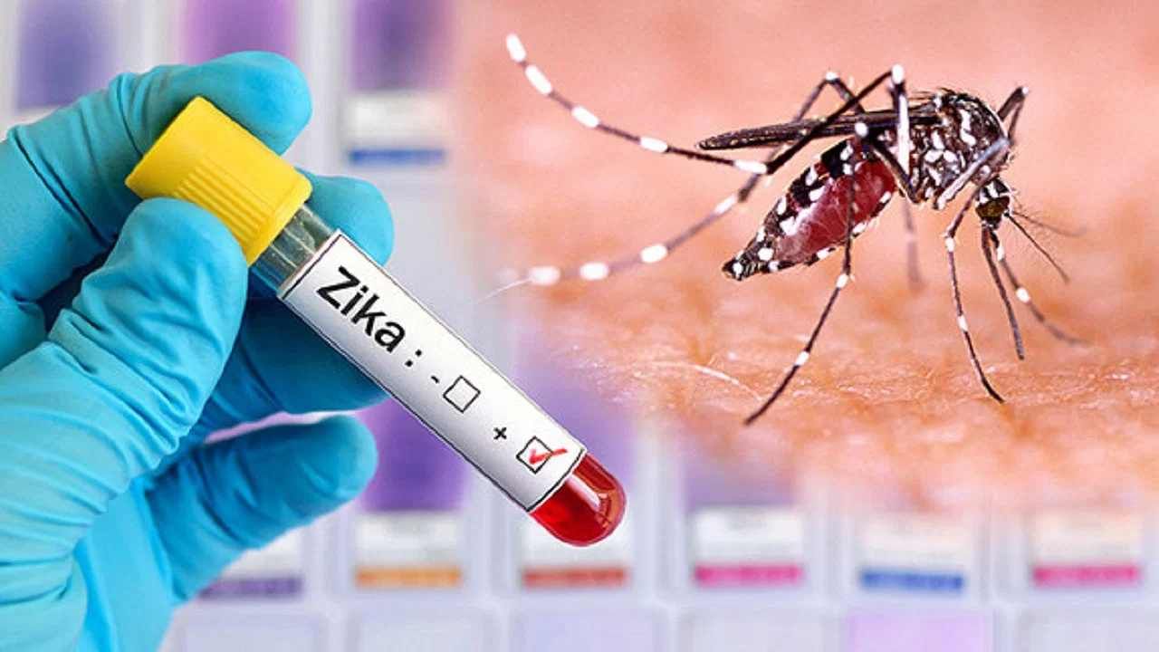 Zika Virus: ಕರ್ನಾಟಕದಲ್ಲಿ ಝಿಕಾ ವೈರಸ್ ಪತ್ತೆ: ಲಕ್ಷಣಗಳು, ವೈರಸ್ ಇತಿಹಾಸ, ಮುನ್ನೆಚ್ಚರಿಕಾ ಕ್ರಮಗಳೇನು, ಇಲ್ಲಿದೆ ಮಾಹಿತಿ