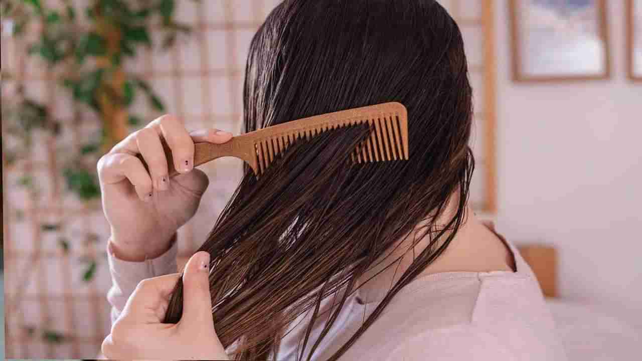 Hair Care Tips: ಕೂದಲು ಒದ್ದೆಯಾಗಿರುವಾಗ ಈ ತಪ್ಪುಗಳನ್ನು ಮಾಡಬೇಡಿ, ಕೂದಲು ಉದುರಬಹುದು