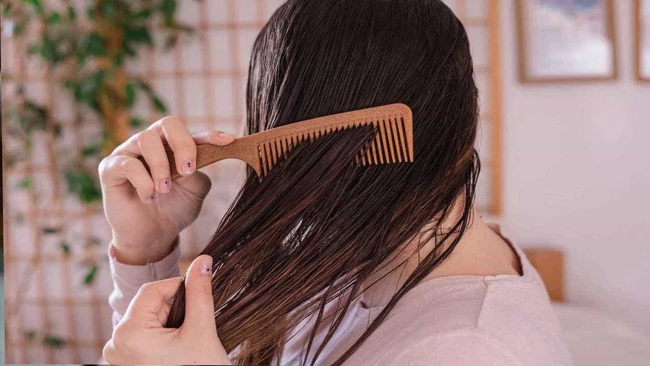 Hair Care Tips: ಕೂದಲು ಒದ್ದೆಯಾಗಿರುವಾಗ ಈ ತಪ್ಪುಗಳನ್ನು ಮಾಡಬೇಡಿ, ಕೂದಲು ಉದುರಬಹುದು Hair Care Tips: ಕೂದಲು ಒದ್ದೆಯಾಗಿರುವಾಗ ಈ ತಪ್ಪುಗಳನ್ನು ಮಾಡಬೇಡಿ, ಕೂದಲು ಉದುರಬಹುದು