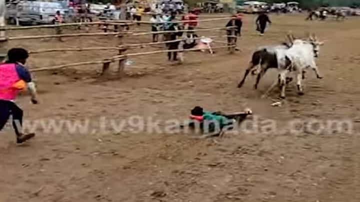 Haveri: ಹೋರಿ ಬೆದರಿಸುವ ಸ್ಪರ್ಧೆ ವೇಳೆ ಕಾಲಿಗೆ ಹಗ್ಗ ಸಿಲುಕಿಕೊಂಡು ದರದರನೆ ಎಳೆದುಕೊಂಡು ಹೋದ ಹೋರಿಗಳು Haveri: ಹೋರಿ ಬೆದರಿಸುವ ಸ್ಪರ್ಧೆ ವೇಳೆ ಕಾಲಿಗೆ ಹಗ್ಗ ಸಿಲುಕಿಕೊಂಡು ದರದರನೆ ಎಳೆದುಕೊಂಡು ಹೋದ ಹೋರಿಗಳು