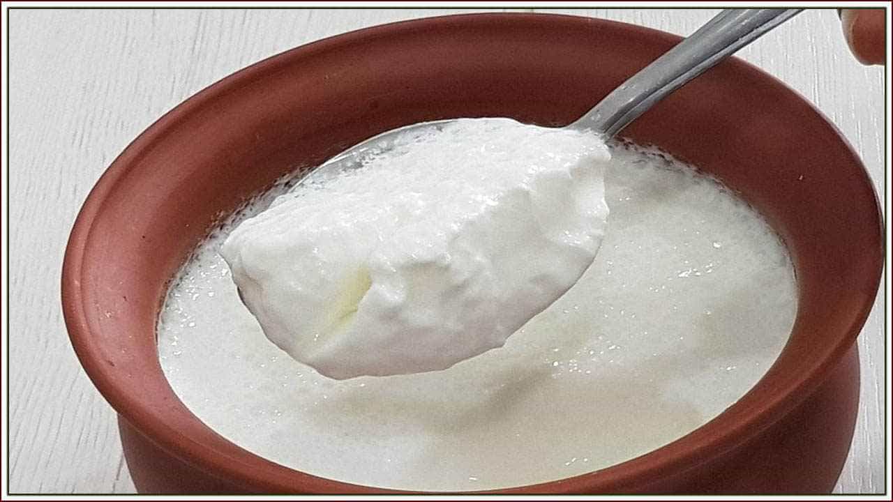 Curd: ಚಳಿಗಾಲದಲ್ಲಿ ಮೊಸರು ತಿನ್ನಲು ಸರಿಯಾದ ಮಾರ್ಗ ಯಾವುದು? ಹೇಗೆ ತಿಂದರೆ ಹೆಚ್ಚು ಲಾಭ Curd: ಚಳಿಗಾಲದಲ್ಲಿ ಮೊಸರು ತಿನ್ನಲು ಸರಿಯಾದ ಮಾರ್ಗ ಯಾವುದು? ಹೇಗೆ ತಿಂದರೆ ಹೆಚ್ಚು ಲಾಭ