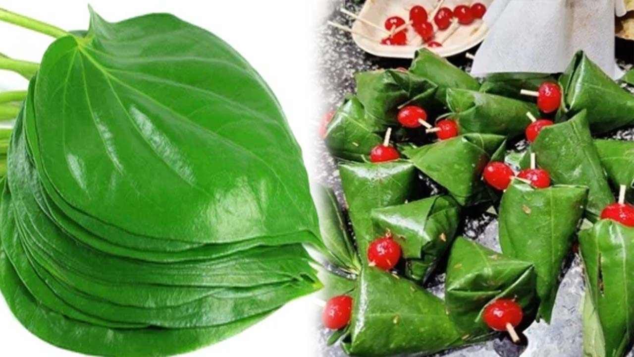 Paan Side Effects: ಪಾನ್ ತಿಂದ ನಂತರ ಈ ಪದಾರ್ಥಗಳನ್ನು ತಿನ್ನಬೇಡಿ, ಹೊಟ್ಟೆ ಕೆಡಬಹುದು