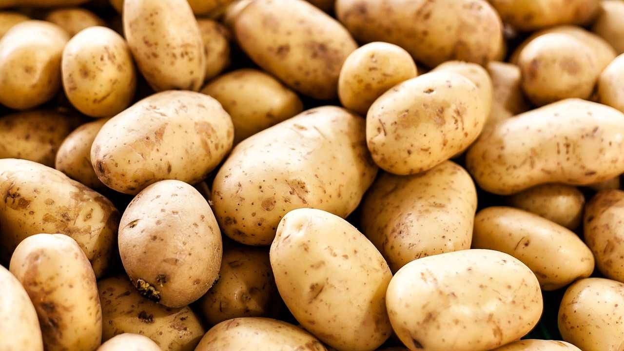 Potato Diet Plan: ಆಲೂಗಡ್ಡೆಯನ್ನು ತಿಂದು ಕೂಡ ನೀವು ತೂಕ ಇಳಿಸಿಕೊಳ್ಳಬಹುದು