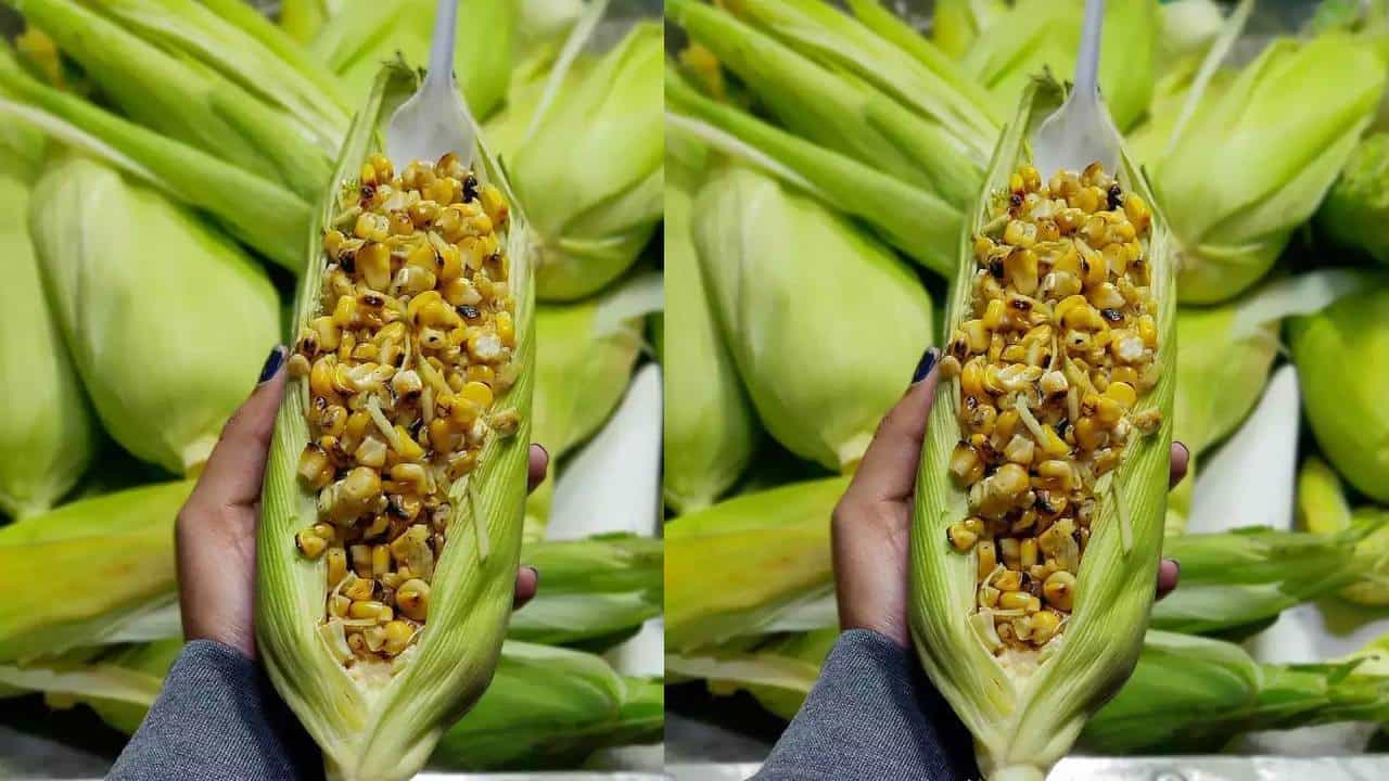 ಅಮೇರಿಕನ್ ಮಸಾಲ ಕಾರ್ನ್: ವಿವಿ ಪುರಂನ ತಿಂಡಿ ಬೀದಿಯಲ್ಲಿ 50 ಕ್ಕೂ ಹೆಚ್ಚು ವಿವಿಧ ತಳಿಯ ಸಿಹಿ ಜೋಳವನ್ನು ಮಾರಾಟ ಮಾಡುವ ಆಹಾರ ಬಂಡಿಯನ್ನು ಕಾಣಬಹುದು. ರುಚಿಕರವಾದ ಟೊಮೆಟೊ ಸಾಸ್ನಲ್ಲಿ ಮಾವಿನಹಣ್ಣುಗಳು ಮತ್ತು ಮೇಲ್ಭಾಗದಲ್ಲಿ ಸ್ವೀಟ್ ಕಾರ್ನ್. ಇಲ್ಲಿ 50 ಕ್ಕೂ ಹೆಚ್ಚು ವಿವಿಧ ರೀತಿಯ ಸ್ವೀಟ್ಕಾರ್ನ್ಗಳು ಲಭ್ಯವಿದೆ.
