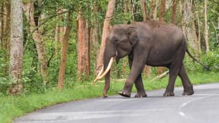 Mysore Bangalore Expressway: ಮೈಸೂರು-ಬೆಂಗಳೂರು ಹೆದ್ದಾರಿಗೆ ಒಡೆಯರ್ ಹೆಸರಿಡುವಂತೆ ಕೇಂದ್ರ ಸಚಿವರಿಗೆ ಪತ್ರ ಬರೆದ ಮಾಜಿ ಸಿಎಂ ಎಸ್.ಎಂ.ಕೃಷ್ಣ