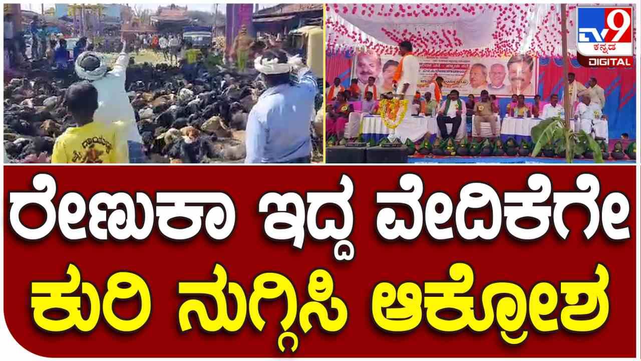 ಸರ್ಕಾರಿ ಗೋಮಾಳ ಜಮೀನು ಬಿಜೆಪಿ ಕಾರ್ಯಕರ್ತರ ಹೆಸರಿಗೆ, ರೇಣುಕಾಚಾರ್ಯ ಇದ್ದ ವೇದಿಕೆಗೆ ಕುರಿ ನುಗ್ಗಿಸಿ ಆಕ್ರೋಶ