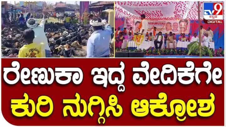 ಸರ್ಕಾರಿ ಗೋಮಾಳ ಜಮೀನು ಬಿಜೆಪಿ ಕಾರ್ಯಕರ್ತರ ಹೆಸರಿಗೆ, ರೇಣುಕಾಚಾರ್ಯ ಇದ್ದ ವೇದಿಕೆಗೆ ಕುರಿ ನುಗ್ಗಿಸಿ ಆಕ್ರೋಶ ಸರ್ಕಾರಿ ಗೋಮಾಳ ಜಮೀನು ಬಿಜೆಪಿ ಕಾರ್ಯಕರ್ತರ ಹೆಸರಿಗೆ, ರೇಣುಕಾಚಾರ್ಯ ಇದ್ದ ವೇದಿಕೆಗೆ ಕುರಿ ನುಗ್ಗಿಸಿ ಆಕ್ರೋಶ