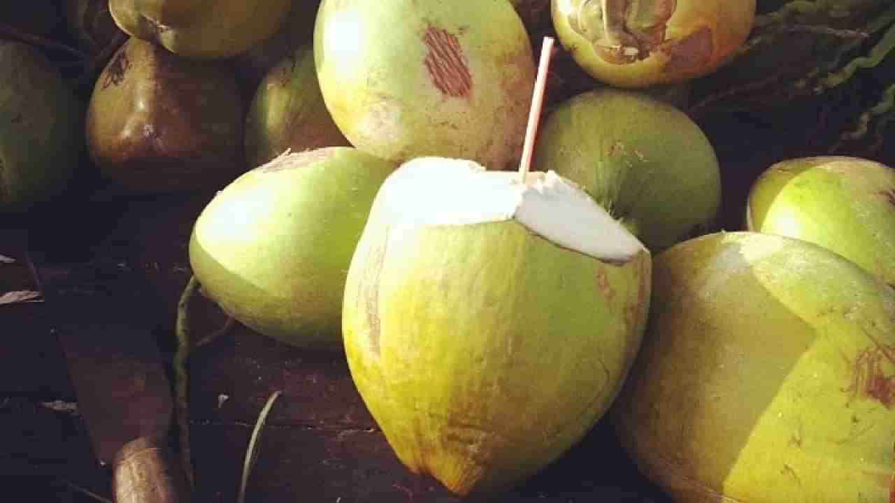 Rotten Coconut Water: ಒಂದು ತಿಂಗಳು ಫ್ರಿಡ್ಜ್ ನಲ್ಲಿಟ್ಟಿದ್ದ ಎಳನೀರು ಕುಡಿದ ವ್ಯಕ್ತಿ ಸಾವು, ಹಳಸಿದ್ದನ್ನು ಕುಡಿದು ಬ್ರೈನ್ ಡೆಡ್? ವೈದ್ಯರು ಹೇಳಿದ್ದೇನು?