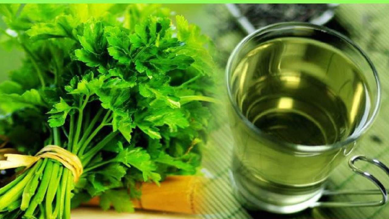 Benefits of Parsley Tea ಪಾರ್ಸ್ಲಿ ಟೀ ಮಾಡುವ ವಿಧಾನ ಮತ್ತು ಆರೋಗ್ಯ