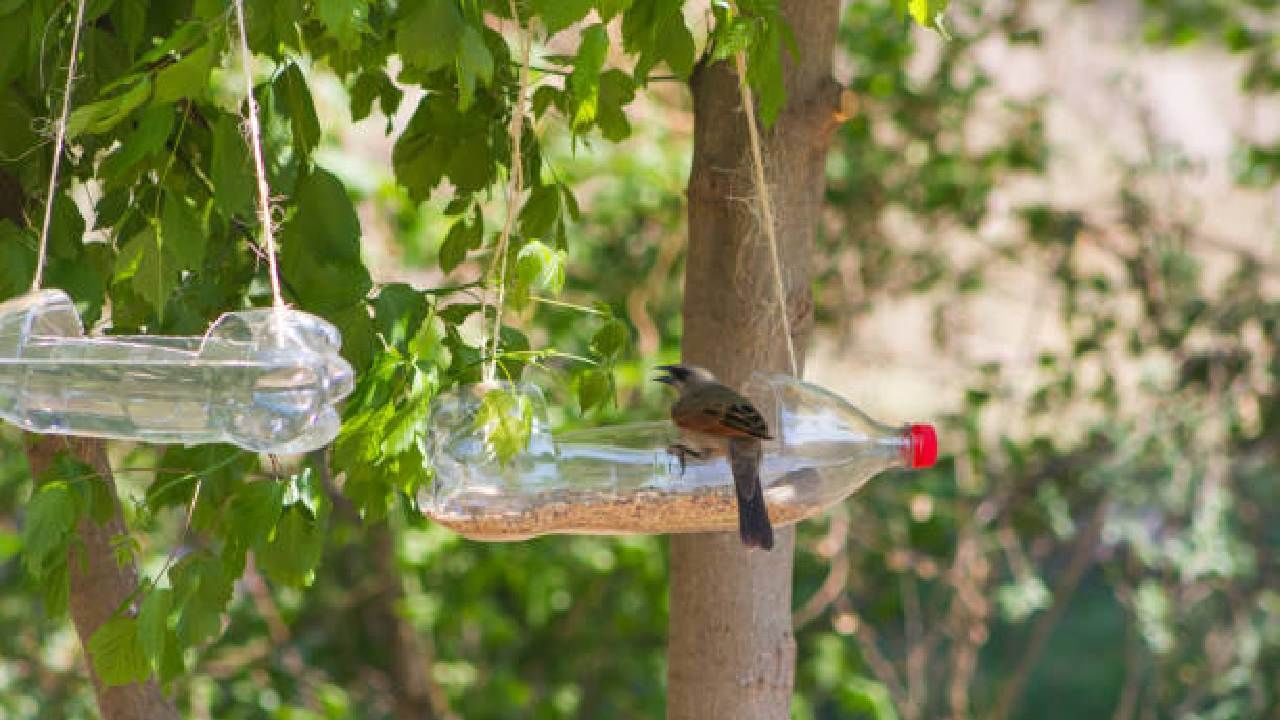 Plastic Bottle Bird Feeder