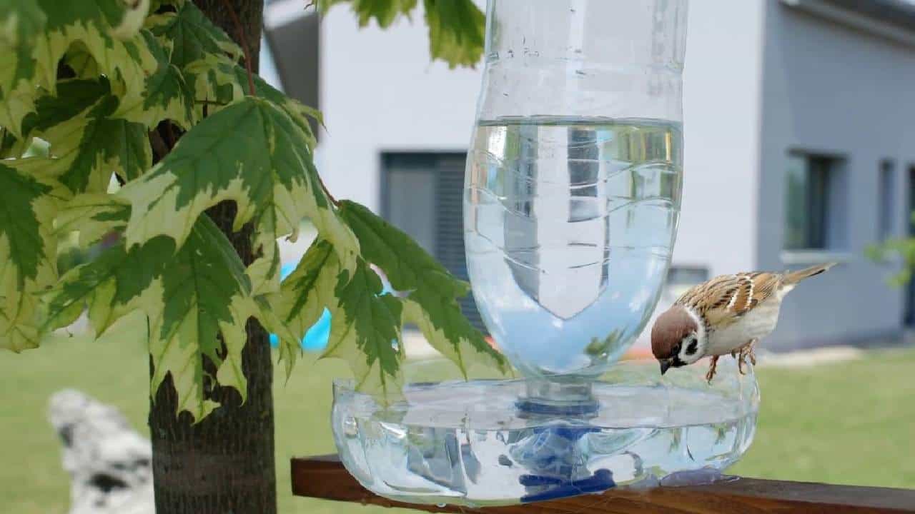 Reuse Plastic Bottles:ನೀವೂ ಬಳಸಿದ ಪ್ಲಾಸ್ಟಿಕ್ ಬಾಟಲ್ ಗಳನ್ನು ಬಿಸಾಡದಿರಿ ಮರು ಬಳಕೆ ಮಾಡಿ Reuse Plastic Bottles:ನೀವೂ ಬಳಸಿದ ಪ್ಲಾಸ್ಟಿಕ್ ಬಾಟಲ್ ಗಳನ್ನು ಬಿಸಾಡದಿರಿ ಮರು ಬಳಕೆ ಮಾಡಿ