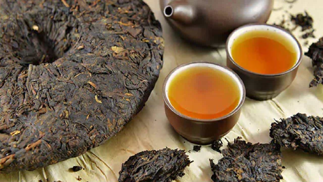 Puerh Tea: ಚೀನಾದ ಪುರ್ಹ್ ಟೀ ಬಗ್ಗೆ ನಿಮಗೆಷ್ಟು ಗೊತ್ತು? ಇದು ಭಾರತದಲ್ಲಿ ಲಭ್ಯವಿದೆಯೇ? Puerh Tea: ಚೀನಾದ ಪುರ್ಹ್ ಟೀ ಬಗ್ಗೆ ನಿಮಗೆಷ್ಟು ಗೊತ್ತು? ಇದು ಭಾರತದಲ್ಲಿ ಲಭ್ಯವಿದೆಯೇ?