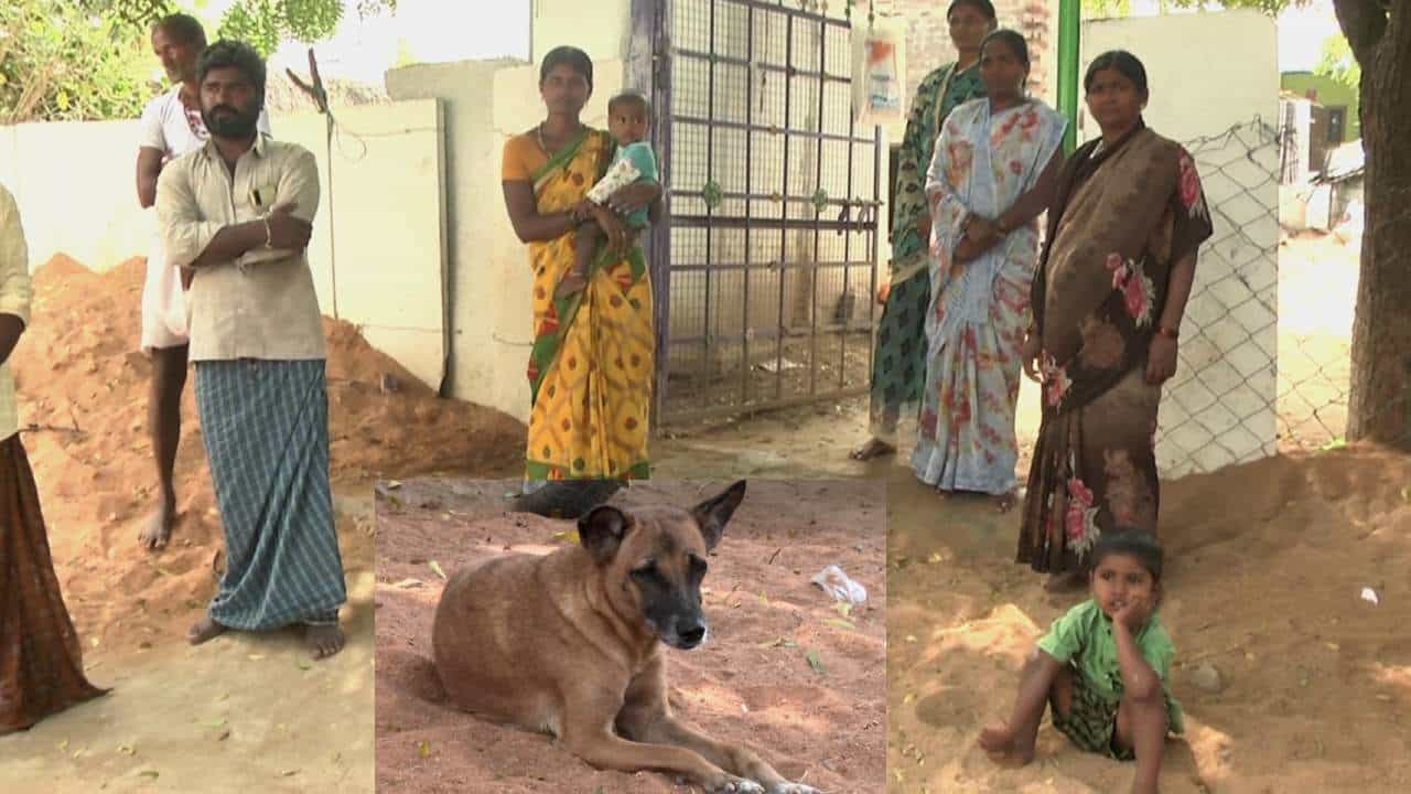 Bellary Dog Attack: ಬಳ್ಳಾರಿಯಲ್ಲಿ ಹುಚ್ಚು ನಾಯಿ ಕಡಿತಕ್ಕೆ ಇಬ್ಬರು ಮಕ್ಕಳ ಸಾವು: ಮಕ್ಕಳ ಸಾವಿಗೆ ಹೊಣೆ ಯಾರು? Bellary Dog Attack: ಬಳ್ಳಾರಿಯಲ್ಲಿ ಹುಚ್ಚು ನಾಯಿ ಕಡಿತಕ್ಕೆ ಇಬ್ಬರು ಮಕ್ಕಳ ಸಾವು: ಮಕ್ಕಳ ಸಾವಿಗೆ ಹೊಣೆ ಯಾರು?
