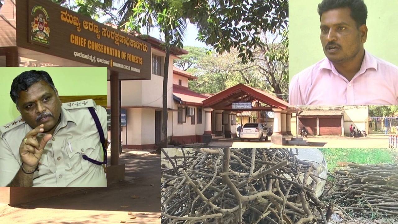 Weight loss! ರೈತ ಬೆಳೆದ ಶ್ರೀಗಂಧವನ್ನು ಅರಣ್ಯ ಇಲಾಖೆ ಗುಳುಂ ಮಾಡಿತಾ? ಏನಿದು ಗಂಧದ ತೂಕದಾಟ, ಕಿತ್ತಾಟ!? Weight loss! ರೈತ ಬೆಳೆದ ಶ್ರೀಗಂಧವನ್ನು ಅರಣ್ಯ ಇಲಾಖೆ ಗುಳುಂ ಮಾಡಿತಾ? ಏನಿದು ಗಂಧದ ತೂಕದಾಟ, ಕಿತ್ತಾಟ!?