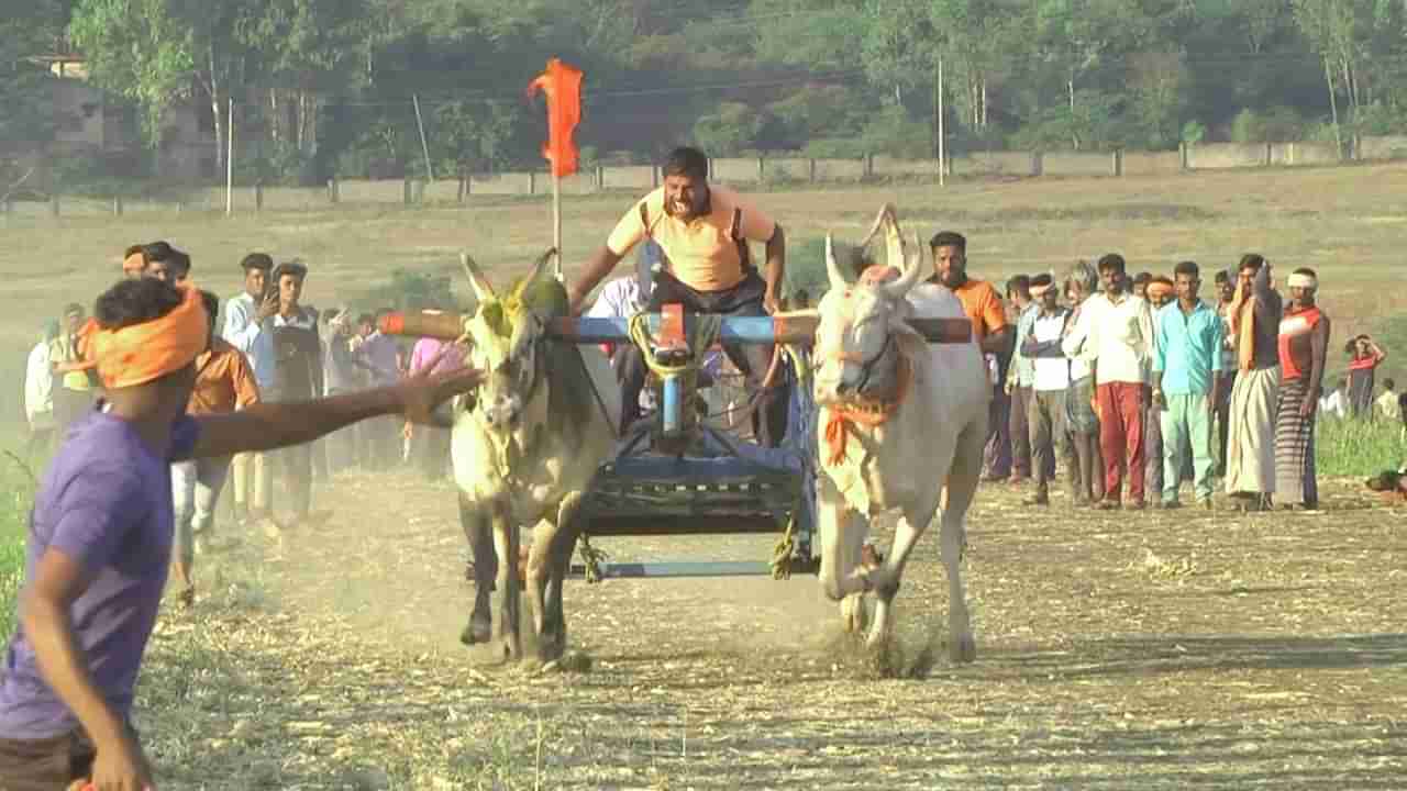 Bullock Cart Race: ಎತ್ತಿನ ಬಂಡಿಗಳ ಮಿಂಚಿನ ಓಟ: ಥ್ರಿಲ್ ಆದ ಹಾವೇರಿ ಭಾಗದ ರೈತರು!