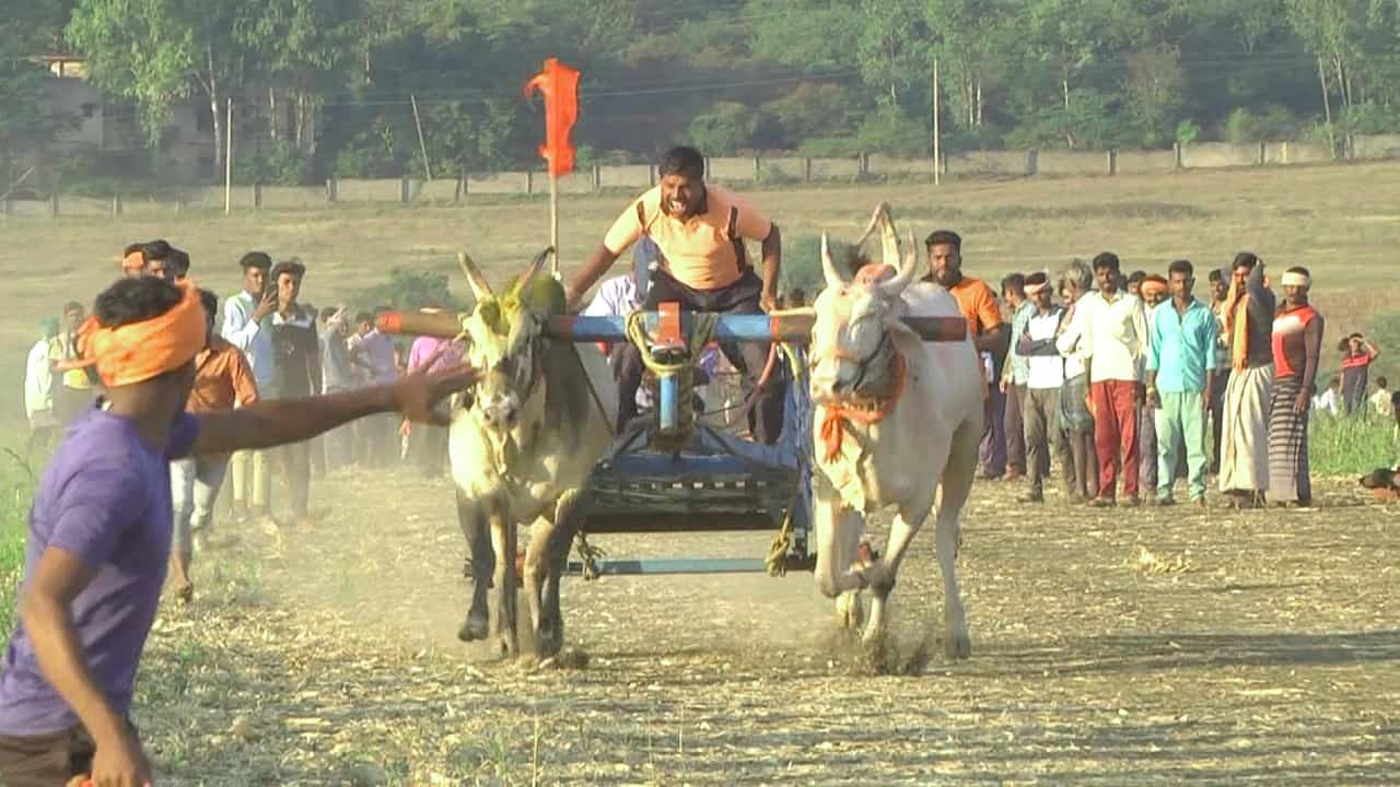 Bullock Cart Race: ಎತ್ತಿನ ಬಂಡಿಗಳ ಮಿಂಚಿನ ಓಟ: ಥ್ರಿಲ್ ಆದ ಹಾವೇರಿ ಭಾಗದ ರೈತರು! Bullock Cart Race: ಎತ್ತಿನ ಬಂಡಿಗಳ ಮಿಂಚಿನ ಓಟ: ಥ್ರಿಲ್ ಆದ ಹಾವೇರಿ ಭಾಗದ ರೈತರು!