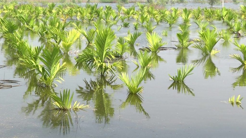 Davanagere Anaji lake filled DC order to release extra water but why 