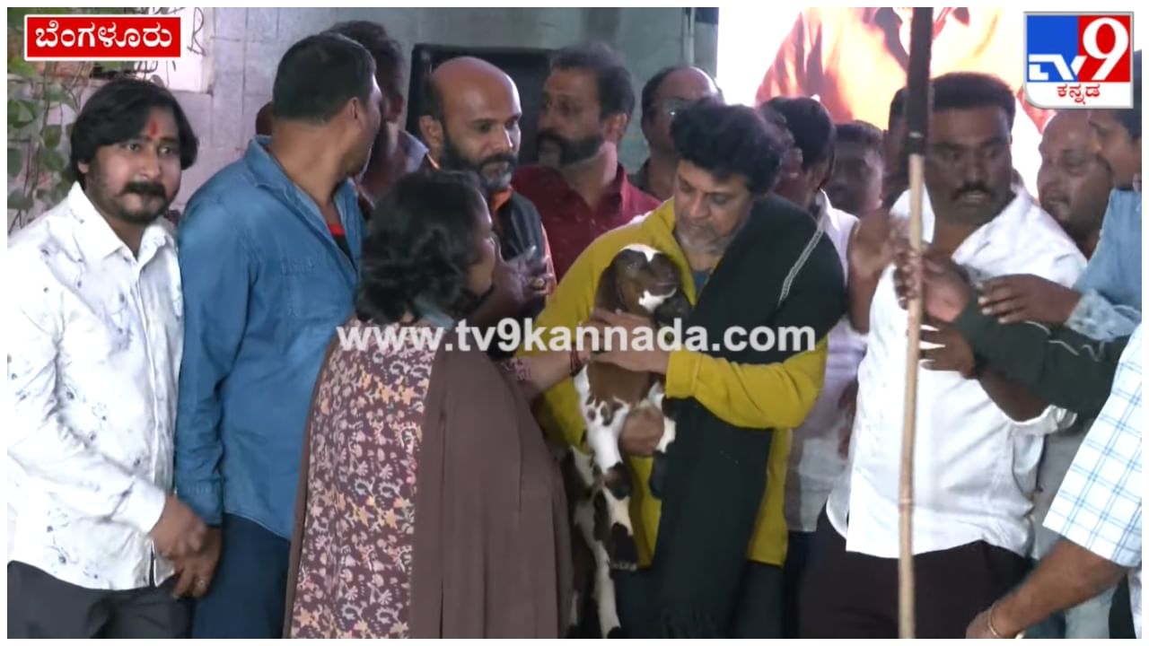 Vedha: ಶಿವರಾಜ್​ಕುಮಾರ್​ಗೆ ಕುರಿ ಮರಿ ಗಿಫ್ಟ್​ ನೀಡಿ, ಕಂಬಳಿ ಹೊದಿಸಿ ಗೌರವಿಸಿದ ಫ್ಯಾನ್ಸ್​