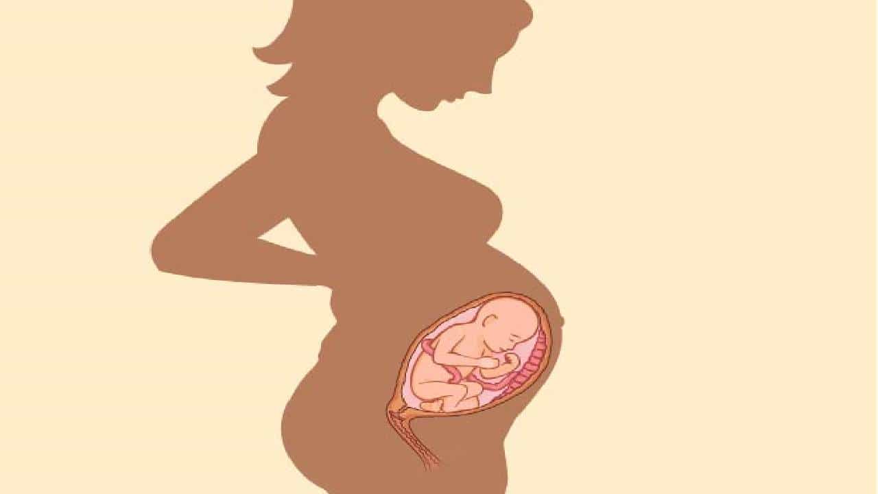 Women Health: ಸಂತಾನೋತ್ಪತ್ತಿ ವ್ಯವಸ್ಥೆಗೆ ಸಹಾಯಕವಾಗುವ 5 ವಿಶೇಷ ಆಹಾರಗಳು ಇಲ್ಲಿವೆ Women Health: ಸಂತಾನೋತ್ಪತ್ತಿ ವ್ಯವಸ್ಥೆಗೆ ಸಹಾಯಕವಾಗುವ 5 ವಿಶೇಷ ಆಹಾರಗಳು ಇಲ್ಲಿವೆ