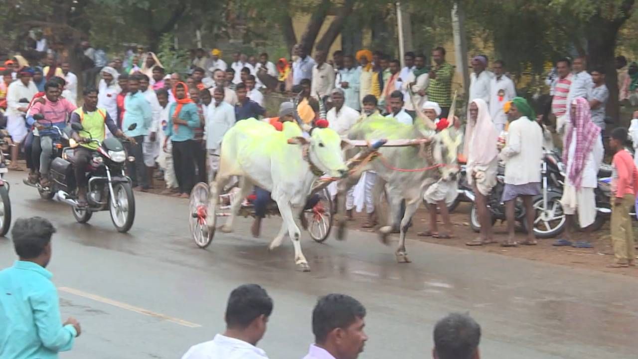 ಶಿರೂರು ಗ್ರಾಮದಲ್ಲಿ ಸಿದ್ದೇಶ್ವರ ಜಾತ್ರೆ ಬಂದಾಗ ಪ್ರತಿ ವರ್ಷ ಈ ಬಂಡಿ ಓಟದ ಸ್ಪರ್ಧೆಯನ್ನು ಆಯೋಜಿಸಲಾಗುತ್ತದೆ. ರೈತರು ಎತ್ತುಗಳಿಗೆ ಬಣ್ಣ ಬಳಿದು ಅಲಂಕಾರ ಮಾಡಿಕೊಂಡು ಸುತ್ತಮುತ್ತಲಿನ ಹಳ್ಳಿ ಮತ್ತು ತಾಲ್ಲೂಕಿನಿಂದ ನೂರಾರು ರೈತರು ಬಂದು ಈ ಸ್ಪರ್ಧೆಯಲ್ಲಿ ಭಾಗವಹಿಸುತ್ತಾರೆ.