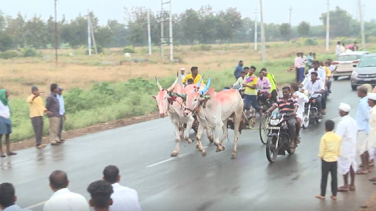 ಒಟ್ಟಾರೆ ರೈತರ ಮನರಂಜನೆ ಕ್ರೀಡೆಯಾದ ಎತ್ತಿನ ಬಂಡಿ ಓಟ ಸ್ಪರ್ಧೆ ಶಿರೂರು ಗ್ರಾಮದಲ್ಲಿನ ಜಾತ್ರೆಯ ಪ್ರಮುಖ ಆಕರ್ಷಣೆಯಾಗಿತ್ತು. ಗ್ರಾಮೀಣ ಕ್ರೀಡೆ ಮಾಯವಾಗುತ್ತಿರುವ ಸಂದರ್ಭದಲ್ಲಿ ಶಿರೂರು ಗ್ರಾಮದ ಜನ ಈ ಸ್ಪರ್ಧೆ ಏರ್ಪಡಿಸಿದ್ದು ನಿಜಕ್ಕೂ ಶ್ಲಾಘನೀಯ.