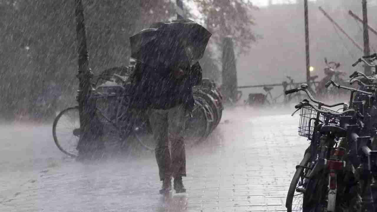 Chennai Rain: ತಮಿಳುನಾಡಿನಲ್ಲಿ ಮಾಂಡೌಸ್ ಚಂಡಮಾರುತದ ಅಬ್ಬರ; ತಿರುವಳ್ಳೂರ್, ಕಾಂಚೀಪುರಂನಲ್ಲಿ ಇಂದು ಶಾಲೆಗಳಿಗೆ ರಜೆ