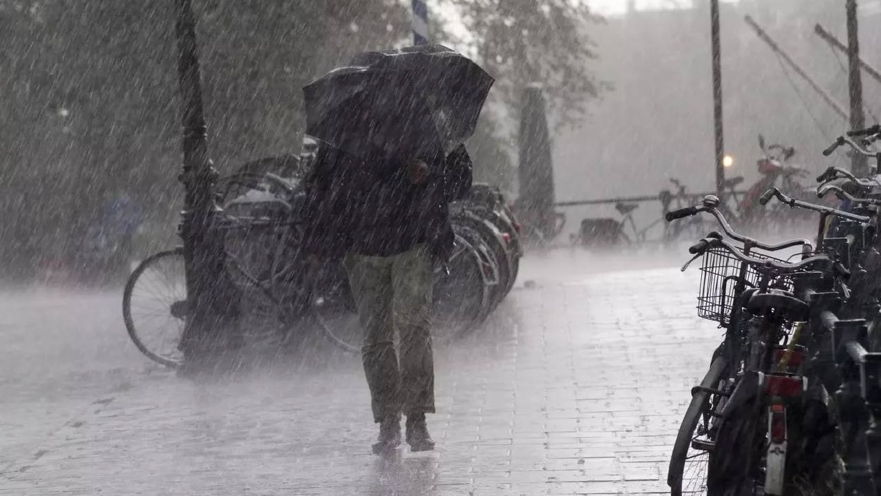 Chennai Rain: ತಮಿಳುನಾಡಿನಲ್ಲಿ ಮಾಂಡೌಸ್ ಚಂಡಮಾರುತದ ಅಬ್ಬರ; ತಿರುವಳ್ಳೂರ್, ಕಾಂಚೀಪುರಂನಲ್ಲಿ ಇಂದು ಶಾಲೆಗಳಿಗೆ ರಜೆ Chennai Rain: ತಮಿಳುನಾಡಿನಲ್ಲಿ ಮಾಂಡೌಸ್ ಚಂಡಮಾರುತದ ಅಬ್ಬರ; ತಿರುವಳ್ಳೂರ್, ಕಾಂಚೀಪುರಂನಲ್ಲಿ ಇಂದು ಶಾಲೆಗಳಿಗೆ ರಜೆ