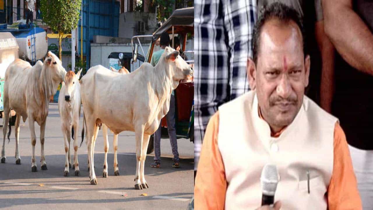 ಗೋಹತ್ಯೆ ಆರೋಪಿಗಳಿಗೆ 2-7 ವರ್ಷದವರೆಗೆ ಜೈಲು ಶಿಕ್ಷೆ: ಕಾಯ್ದೆ ಜಾರಿಯಿಂದ ಗೋವುಗಳ ಹತ್ಯೆ ಸಂಖ್ಯೆ ಇಳಿಕೆ ಗೋಹತ್ಯೆ ಆರೋಪಿಗಳಿಗೆ 2-7 ವರ್ಷದವರೆಗೆ ಜೈಲು ಶಿಕ್ಷೆ: ಕಾಯ್ದೆ ಜಾರಿಯಿಂದ ಗೋವುಗಳ ಹತ್ಯೆ ಸಂಖ್ಯೆ ಇಳಿಕೆ