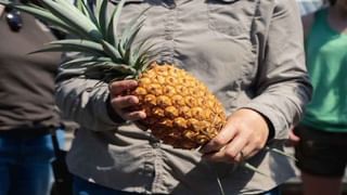 ಶಬರಿಮಲೆ ದರ್ಶನಕ್ಕೆ ದಾಖಲೆಯ ಬುಕಿಂಗ್; ಜನಸಂದಣಿ ನಿಯಂತ್ರಣ ಕುರಿತು ಸಭೆ ಕರೆದ ಪಿಣರಾಯಿ ವಿಜಯನ್