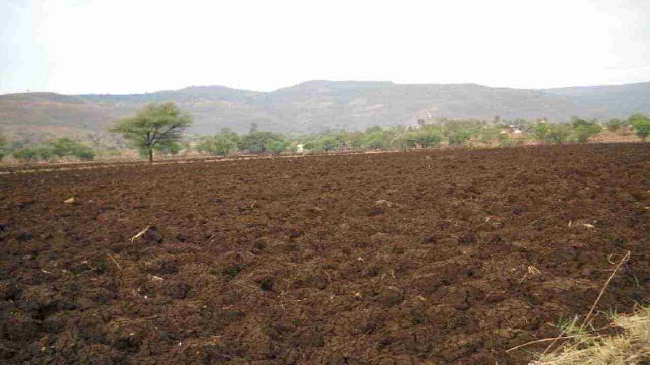 World Soil Day 2022: ಕರ್ನಾಟಕದಲ್ಲಿ ಎಷ್ಟು ತರಹದ ಮಣ್ಣು ಇದೆ ? ಇಲ್ಲಿ ಯಾವ ಬೆಳೆ ಸೂಕ್ತ ಇಲ್ಲಿದೆ ಮಾಹಿತಿ