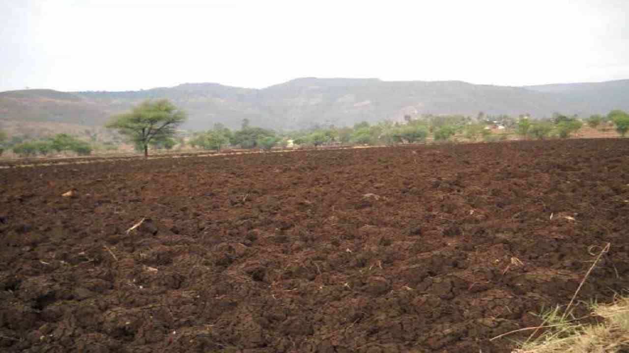 World Soil Day 2022: ಕರ್ನಾಟಕದಲ್ಲಿ ಎಷ್ಟು ತರಹದ ಮಣ್ಣು ಇದೆ ? ಇಲ್ಲಿ ಯಾವ ಬೆಳೆ ಸೂಕ್ತ ಇಲ್ಲಿದೆ ಮಾಹಿತಿ World Soil Day 2022: ಕರ್ನಾಟಕದಲ್ಲಿ ಎಷ್ಟು ತರಹದ ಮಣ್ಣು ಇದೆ ? ಇಲ್ಲಿ ಯಾವ ಬೆಳೆ ಸೂಕ್ತ ಇಲ್ಲಿದೆ ಮಾಹಿತಿ