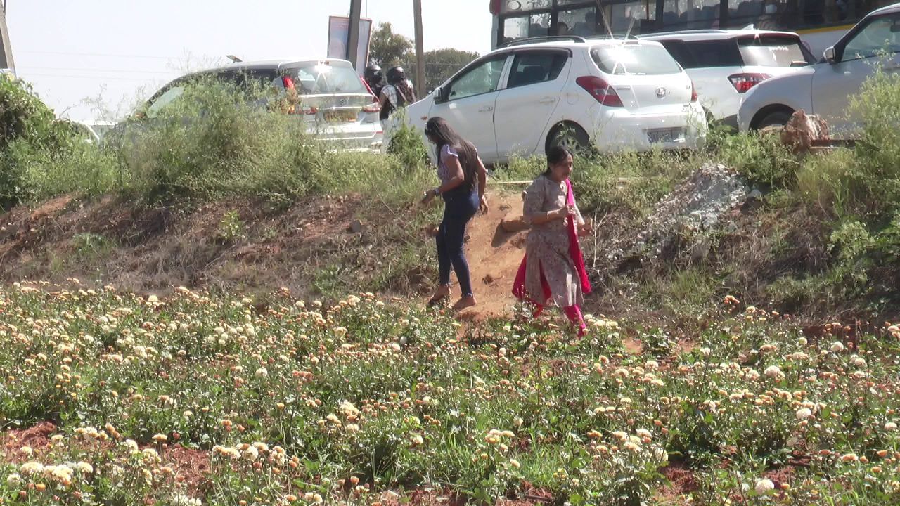 ಕೆಲವು ರೈತರು ಸೇಲ್ಪಿ ತೆಗೆದುಕೊಳ್ಳಲು ಬರುವವರಿಂದ ಪ್ರವೇಶ ಶುಲ್ಕದ ಹೆಸರಿನಲ್ಲಿ ಹಣ ಪಡೆಯುತ್ತಿದ್ದಾರೆ ಎಂಬ ಮಾತೂ ಕೇಳಿಬಂದಿದೆ. 

