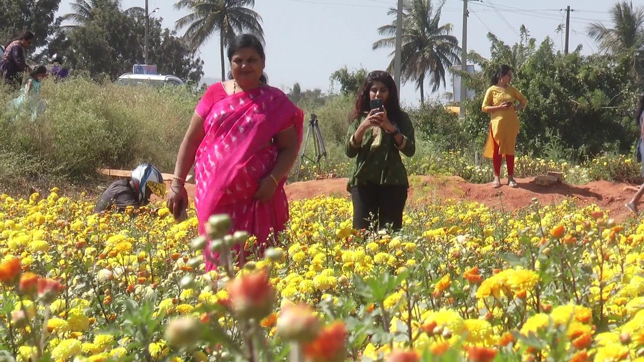 Selfie: ಚಿಕ್ಕಬಳ್ಳಾಪುರ ಹೆದ್ದಾರಿ ಹೂತೋಟದಲ್ಲಿ ಯುವತಿಯರ ಸೇಲ್ಫಿ-ರಂಗಿನಾಟ, ಯುವತಿಯರಿಗೆ ಚೆಲ್ಲಾಟ ರೈತರಿಗೆ ಪೀಕಲಾಟ!