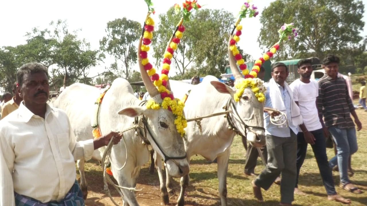 ಜಿಲ್ಲೆಯಲ್ಲಿ ಮೊಟ್ಟಮೊದಲು ನಡೆಯುವ ಜಾತ್ರೆ ಅಂದರೆ ಅದು ಚಾಮರಾಜನಗರ ತಾಲೂಕಿನ ಕಸ್ತೂರು (Kastur) ಬಂಡಿ ಜಾತ್ರೆ.. 