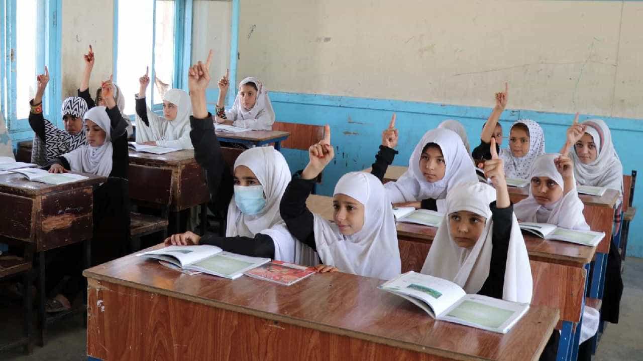 Girls Education: 1 ರಿಂದ 6 ನೇ ತರಗತಿಯವರೆಗೆ ಶಿಕ್ಷಣ ಪಡೆಯಲು ಅಫ್ಘಾನ್ ಹೆಣ್ಣುಮಕ್ಕಳಿಗೆ ಅವಕಾಶ ನೀಡಿದ ತಾಲಿಬಾನ್ Girls Education: 1 ರಿಂದ 6 ನೇ ತರಗತಿಯವರೆಗೆ ಶಿಕ್ಷಣ ಪಡೆಯಲು ಅಫ್ಘಾನ್ ಹೆಣ್ಣುಮಕ್ಕಳಿಗೆ ಅವಕಾಶ ನೀಡಿದ ತಾಲಿಬಾನ್