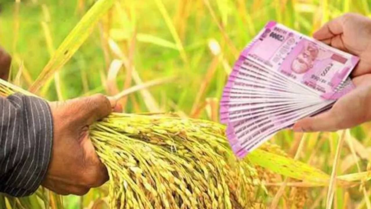 Know Loan write off and how it is Different from loan waiver in Kannada