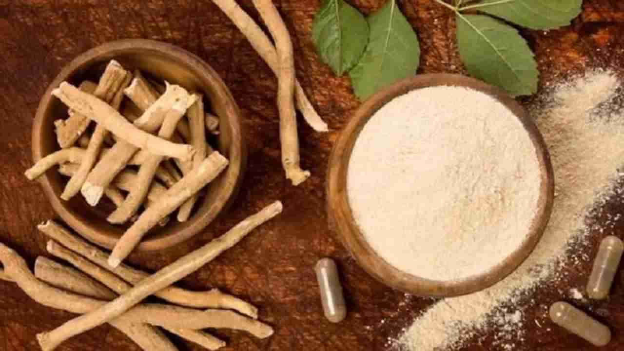 Ashwagandha For Diabetes: ಮಧುಮೇಹಕ್ಕೆ ಅಶ್ವಗಂಧ ಮದ್ದು, ಇತರೆ ಪ್ರಯೋಜನಗಳ ತಿಳಿಯಿರಿ