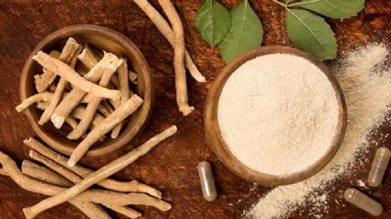 Ashwagandha For Diabetes: ಮಧುಮೇಹಕ್ಕೆ ಅಶ್ವಗಂಧ ಮದ್ದು, ಇತರೆ ಪ್ರಯೋಜನಗಳ ತಿಳಿಯಿರಿ Ashwagandha For Diabetes: ಮಧುಮೇಹಕ್ಕೆ ಅಶ್ವಗಂಧ ಮದ್ದು, ಇತರೆ ಪ್ರಯೋಜನಗಳ ತಿಳಿಯಿರಿ