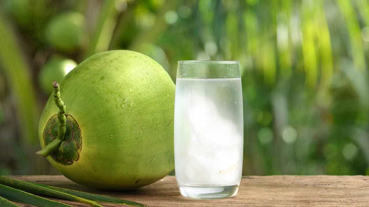 Coconut Water: ಎಳನೀರಿನಿಂದ ಒಂದಲ್ಲಾ ಹಲವು ರೋಗಗಳ ಗುಣಪಡಿಸುವ ಶಕ್ತಿ ಇದೆ, ಪ್ರಯೋಜನಗಳ ತಿಳಿಯಿರಿ Coconut Water: ಎಳನೀರಿನಿಂದ ಒಂದಲ್ಲಾ ಹಲವು ರೋಗಗಳ ಗುಣಪಡಿಸುವ ಶಕ್ತಿ ಇದೆ, ಪ್ರಯೋಜನಗಳ ತಿಳಿಯಿರಿ