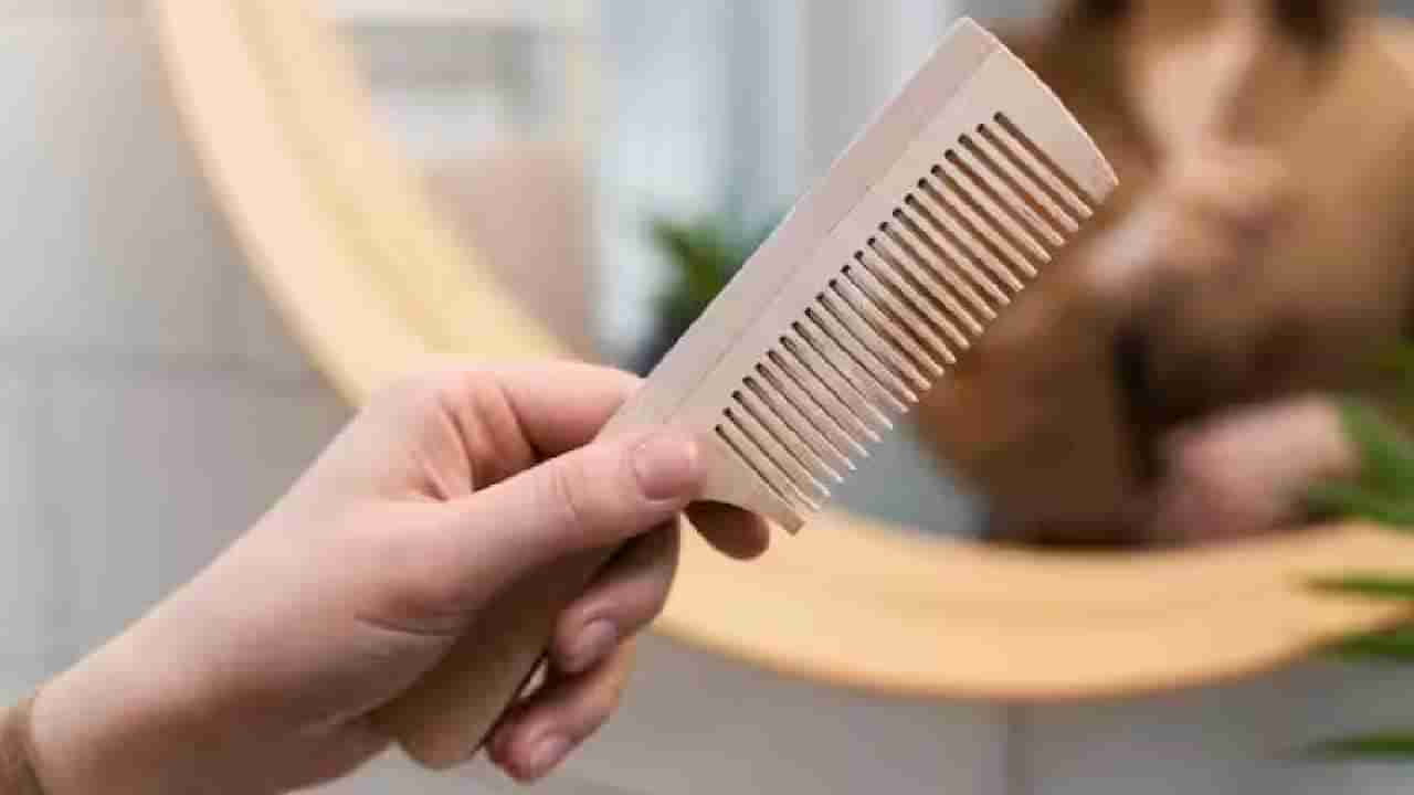 Plastic or Wooden Comb: ಪ್ಲಾಸ್ಟಿಕ್ ಅಥವಾ ಮರದ ಬಾಚಣಿಗೆ, ಯಾವುದು ಬಳಸುವುದು ಉತ್ತಮ?