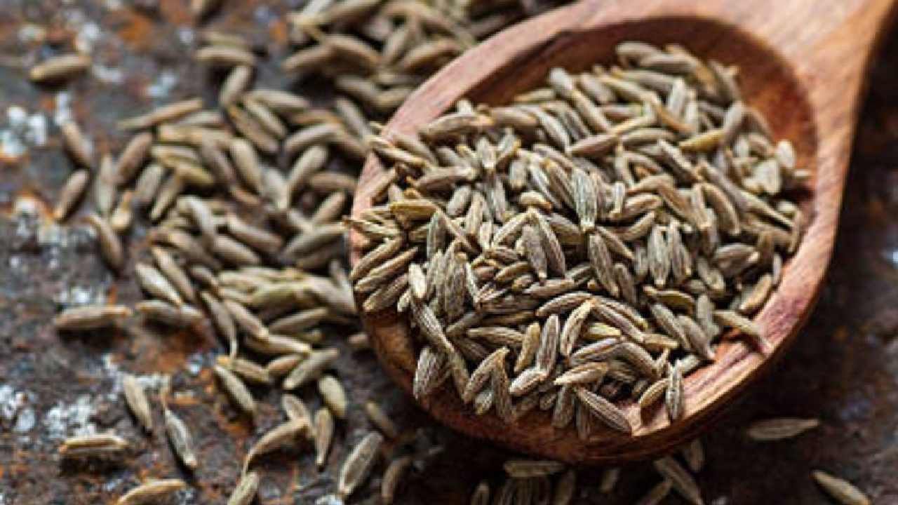 Cumin Side Effects ಅತಿಯಾಗಿ ಜೀರಿಗೆ ತಿನ್ನುವುದು ಆರೋಗ್ಯಕ್ಕೆ ತುಂಬಾ ಅಪಾಯಕಾರಿ Kannada News Cumin
