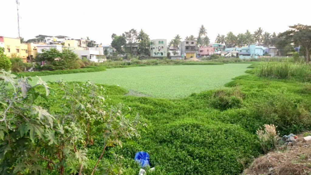 Haliyal lake encroachment by localites and municipal officials 