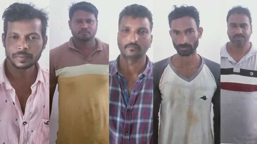 Hassan: ಕಾಫಿ ಬೀಜ ಕದ್ದನೆಂದು ಆರೋಪಿಸಿ ಮರಕ್ಕೆ ಕಟ್ಟಿ ಹಾಕಿ ದಲಿತ ಯುವಕನ ಮೇಲೆ ಮನಬಂದಂತೆ ದೌರ್ಜನ್ಯ, ಐವರು ಅರೆಸ್ಟ್