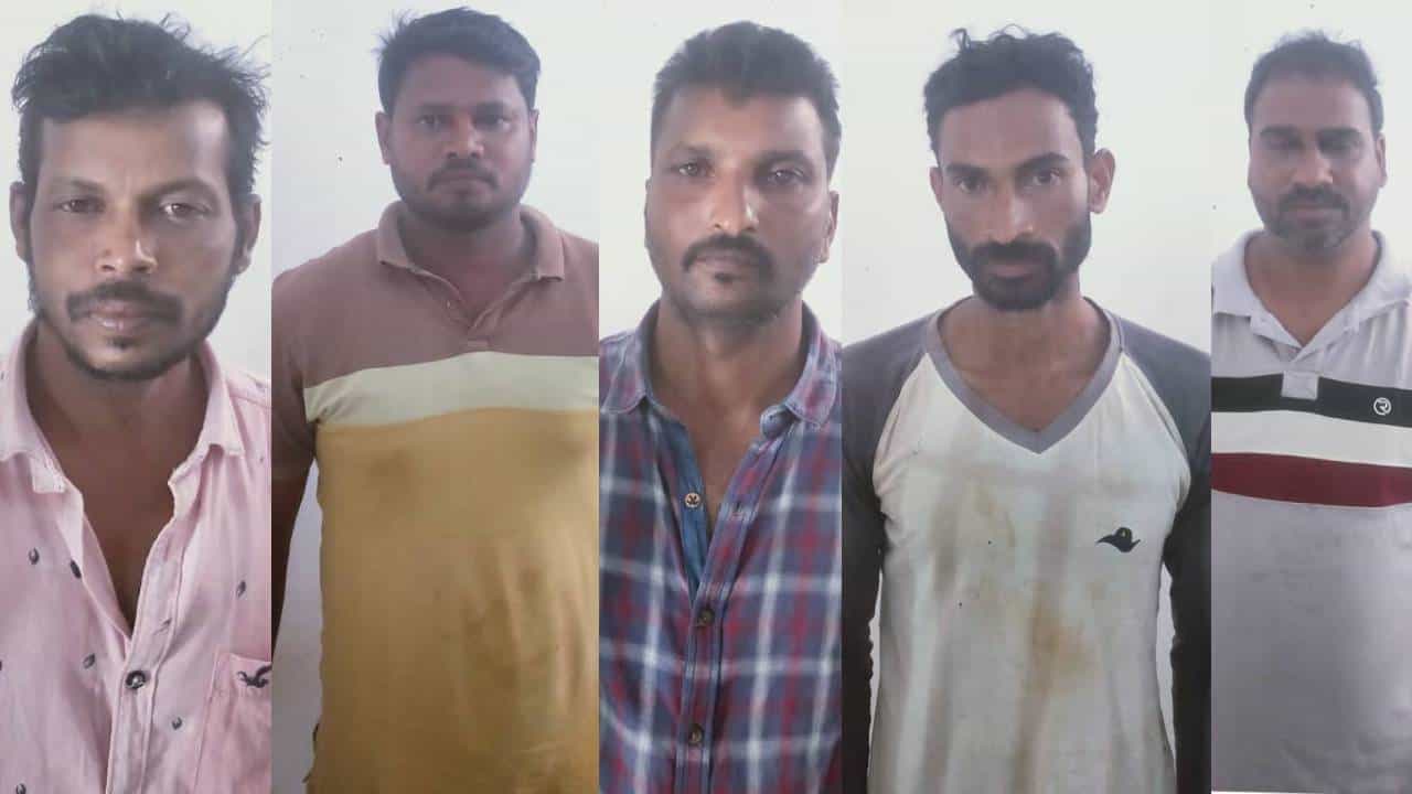 Hassan: ಕಾಫಿ ಬೀಜ ಕದ್ದನೆಂದು ಆರೋಪಿಸಿ ಮರಕ್ಕೆ ಕಟ್ಟಿ ಹಾಕಿ ದಲಿತ ಯುವಕನ ಮೇಲೆ ಮನಬಂದಂತೆ ದೌರ್ಜನ್ಯ, ಐವರು ಅರೆಸ್ಟ್