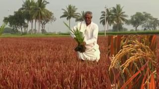 ಕೊಪ್ಪಳ: ಊಟಕ್ಕೆಂದು ಹೋಗಿ ಹೆಣವಾದ ಕಂದಾಯ ಇಲಾಖೆ ನೌಕರ, ಸಾವಿನ ಸುತ್ತ ಬೆಳೆದ ಅನುಮಾನದ ಹುತ್ತ