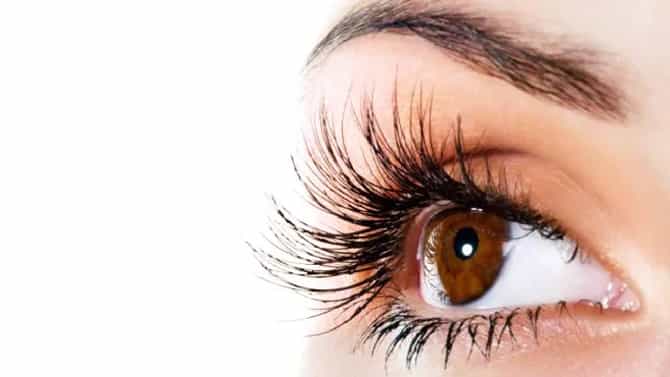 Improve Eyesight: ಕಣ್ಣಿನ ಆರೋಗ್ಯವನ್ನು ಕಾಪಾಡುವ ಆಹಾರಗಳು ಇಲ್ಲಿವೆ