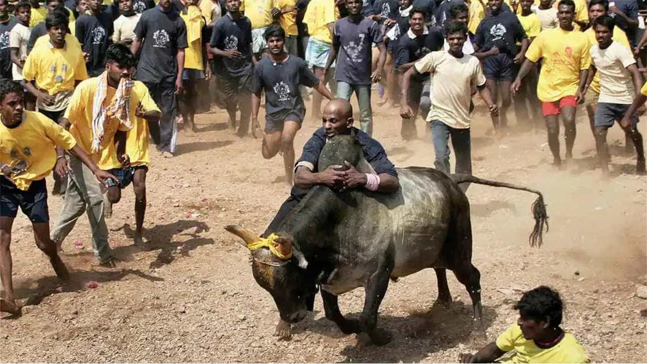 Jallikattu: ತಮಿಳುನಾಡಿನಲ್ಲಿ ಜಲ್ಲಿಕಟ್ಟು ಸ್ಪರ್ಧೆ ವೇಳೆ ಇಬ್ಬರು ಸಾವು: ಪ್ರತಿ ಕುಟುಂಬಕ್ಕೆ ತಲಾ 3 ಲಕ್ಷ ರೂ ಪರಿಹಾರ ಘೋಷಿಸಿದ ಸಿಎಂ ಸ್ಟಾಲಿನ್ Jallikattu: ತಮಿಳುನಾಡಿನಲ್ಲಿ ಜಲ್ಲಿಕಟ್ಟು ಸ್ಪರ್ಧೆ ವೇಳೆ ಇಬ್ಬರು ಸಾವು: ಪ್ರತಿ ಕುಟುಂಬಕ್ಕೆ ತಲಾ 3 ಲಕ್ಷ ರೂ ಪರಿಹಾರ ಘೋಷಿಸಿದ ಸಿಎಂ ಸ್ಟಾಲಿನ್