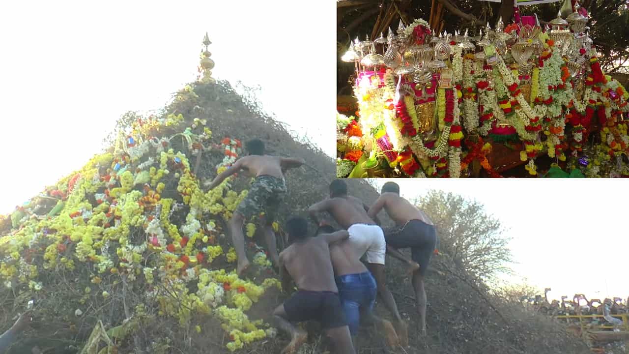 Kadugolla Tribe: ಚಳ್ಳಕೆರೆ ಕಾಡುಗೊಲ್ಲರ ಆರಾಧ್ಯ ದೈವ ಕ್ಯಾತಪ್ಪನ ಜಾತ್ರೆಯಲ್ಲಿ ಮುಳ್ಳಿನ ಗುಡಿ ಮೇಲಿಂದ ಕಳಶ ಕೀಳುವ ಪವಾಡ ಒಮ್ಮೆ ನೋಡಿ Kadugolla Tribe: ಚಳ್ಳಕೆರೆ ಕಾಡುಗೊಲ್ಲರ ಆರಾಧ್ಯ ದೈವ ಕ್ಯಾತಪ್ಪನ ಜಾತ್ರೆಯಲ್ಲಿ ಮುಳ್ಳಿನ ಗುಡಿ ಮೇಲಿಂದ ಕಳಶ ಕೀಳುವ ಪವಾಡ ಒಮ್ಮೆ ನೋಡಿ