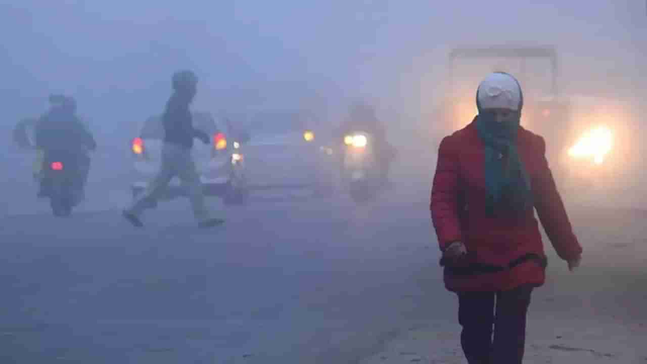 Intense Cold Wave: ಇಂದಿನಿಂದ 3 ದಿನ ದೆಹಲಿಯಲ್ಲಿ ಶೀತಮಾರುತ: ಬೆಂಗಳೂರಿನಲ್ಲೂ ಕುಸಿದ ಉಷ್ಣಾಂಶ